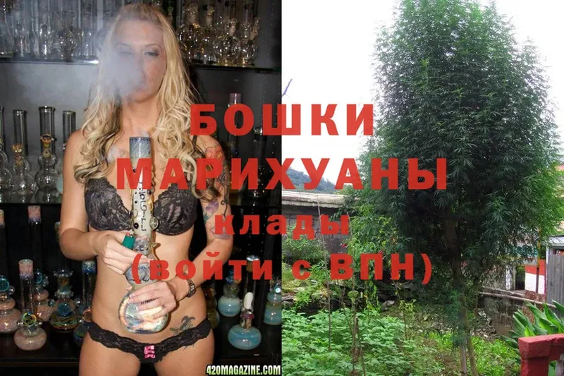 где купить наркотик  Истра  Шишки марихуана OG Kush 